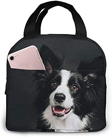 Bolsa de almuerzo Young Border - Women'S Young Bags reseña y precio