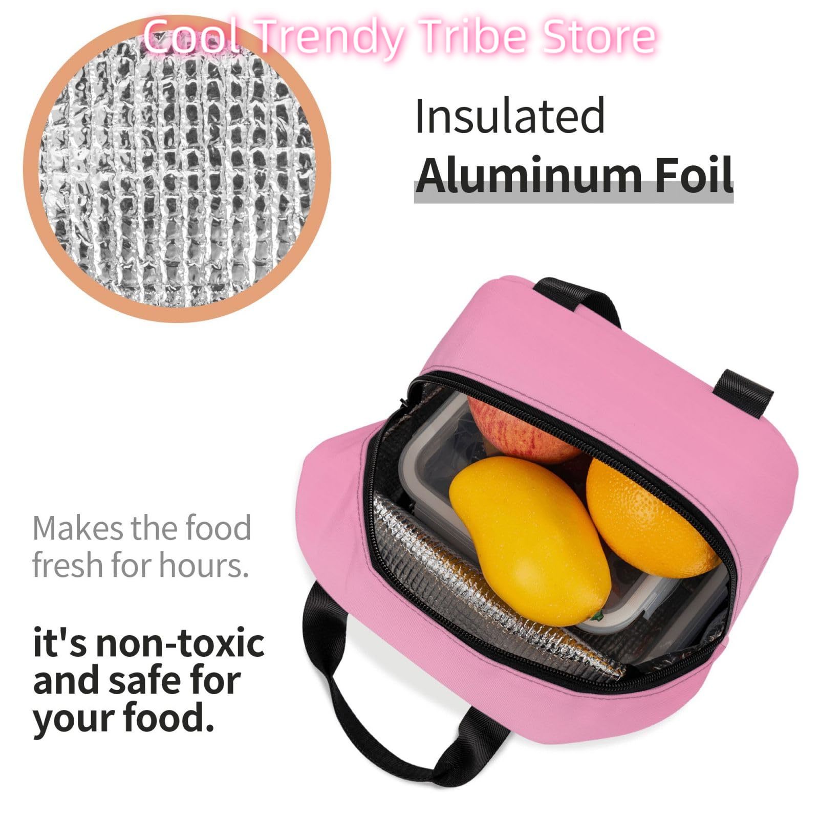 Bolsa de almuerzo aislada para - Women Hand Bags For Office reseña y precio